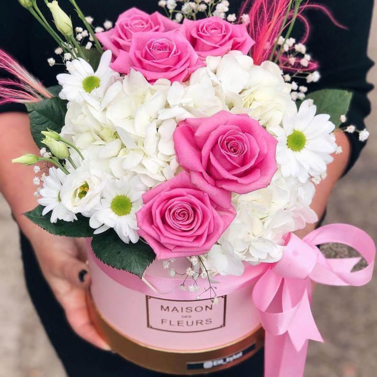 Милочка от 5 450 руб.