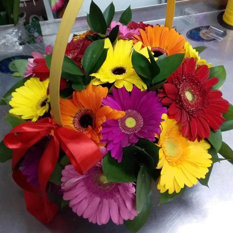 Потомок солнца от 5 350 руб.