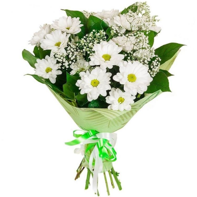 Холодные звезды от 3 240 руб.