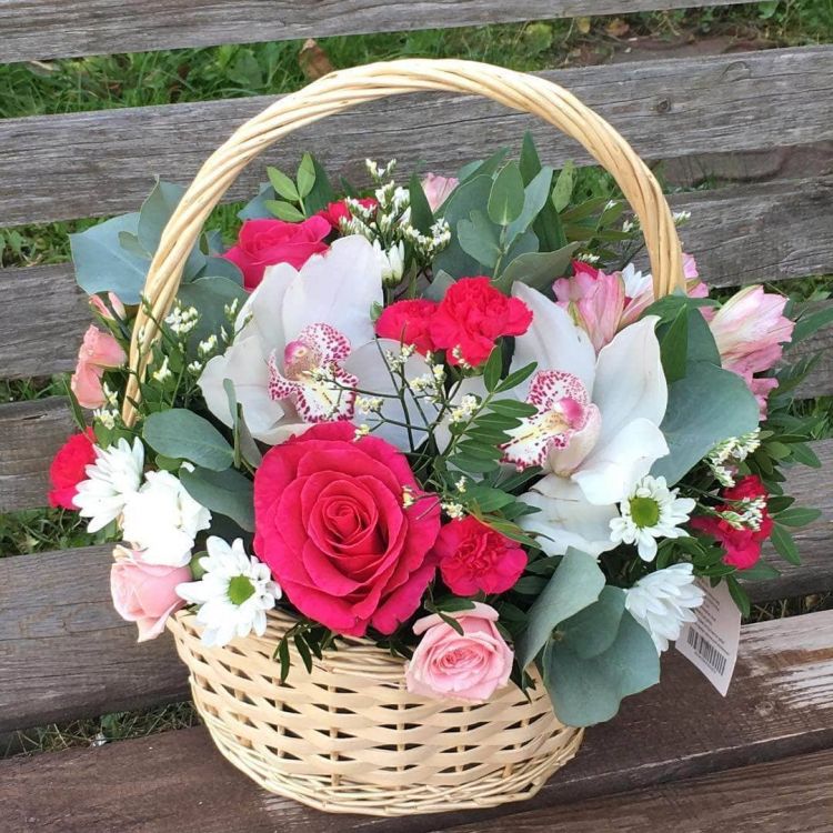 Амброзия от 5 450 руб.