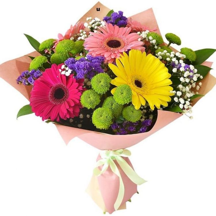 Ералаш от 2 810 руб.