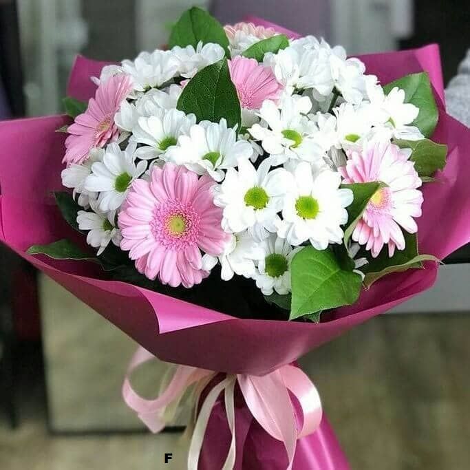 Прекрасное начало от 2 510 руб.