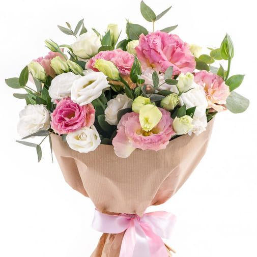 Волшебный свет от 3 240 руб.